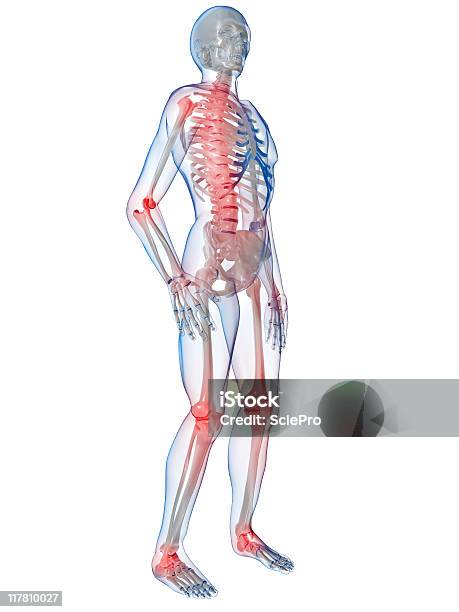 3d Graphic Of Human Anatomy Featuring Painful Joints Stock Photo - Download Image Now