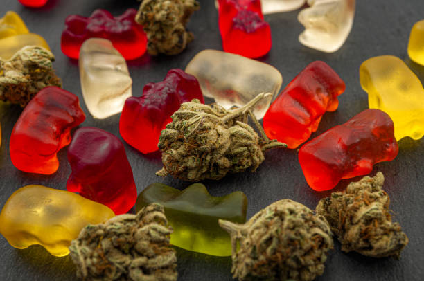 o cannabis edibles, marijuana médica, cbd infundido gummies e tema comestível do conceito do potenciômetro com fim acima em ursos gummy coloridos e em botões da erva daninha no fundo escuro - gummy - fotografias e filmes do acervo