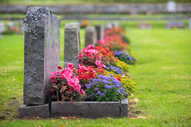 Row of grave stones with beautiful and colorful flowers Sun shining on a row of gravestones with red, pink and blue flowers on a beautiful and well cared cemetery in Sweden cemetery stock pictures, royalty-free photos & images
