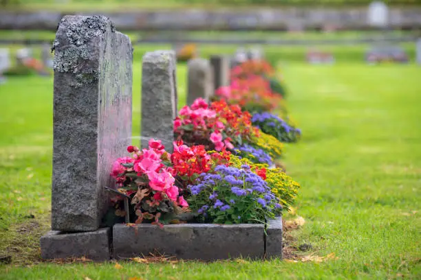 Sun shining on a row of gravestones with red, pink and blue flowers on a beautiful and well cared cemetery in Sweden