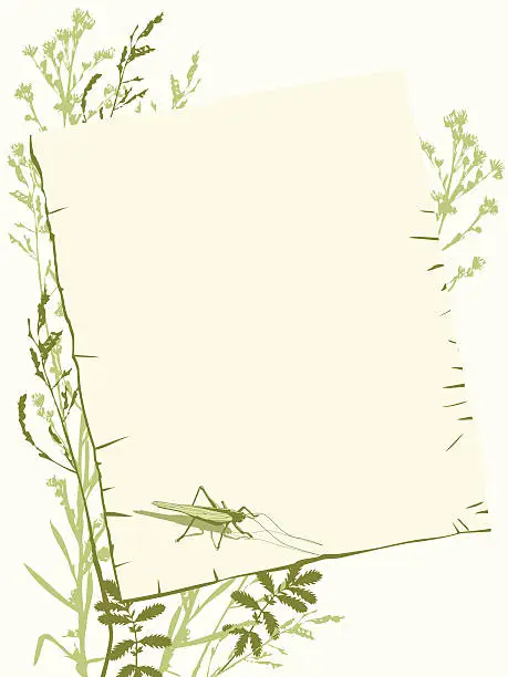 Vector illustration of green floral frame