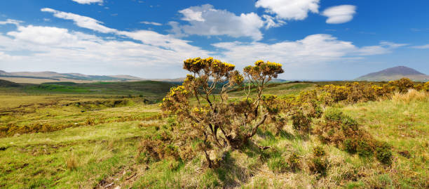 Beautiful view of Connemara National Park, famous for bogs and heaths, watched over by its cone-shaped mountain, Diamond Hill, County Galway, Ireland