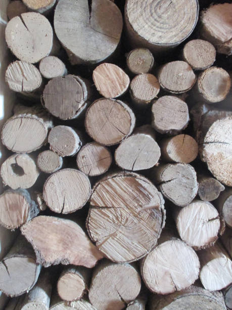 istock Storage of firewood  Indoor shot 1178109741