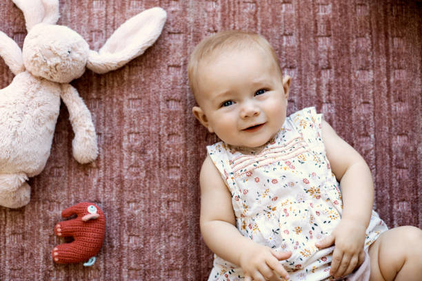 Portrait of cute baby girl lying with toy animals Directly above view of cute baby girl lying on carpet. Portrait of female toddler is by stuffed toy animals. She is wearing floral dress in living room. animal representation photos stock pictures, royalty-free photos & images