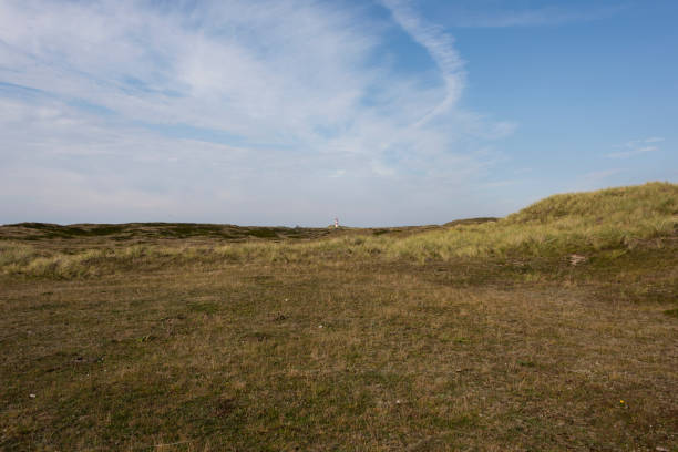 istock Beautiful tranquil dune landscape and long beach at North Sea 1178113562