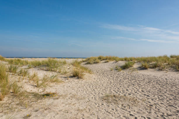 istock Beautiful tranquil dune landscape and long beach at North Sea 1178113798