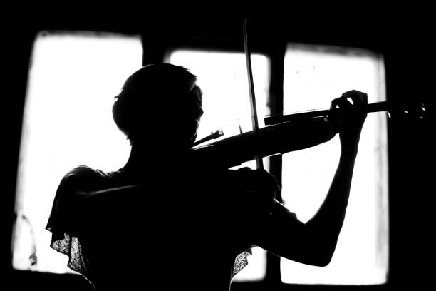 silhouette einer frau, die geige spielt - practicing music violin women stock-fotos und bilder