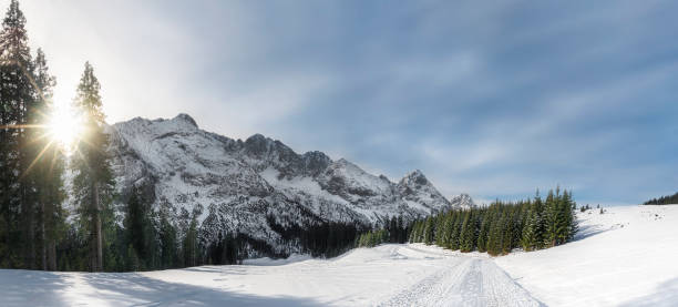 istock Alpine winter panorama with snowy road and mountains 1178114362