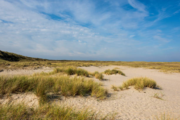 istock Beautiful tranquil dune landscape and long beach at North Sea 1178116735