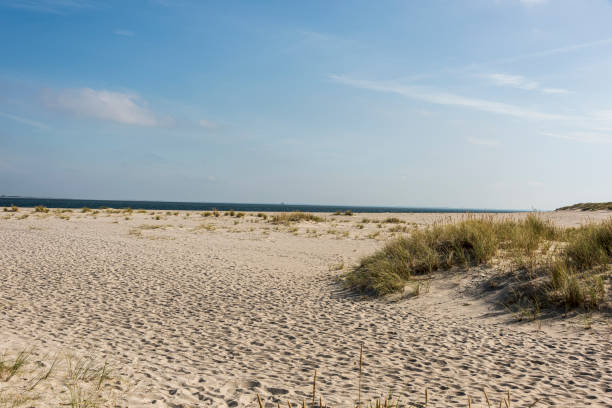 istock Beautiful tranquil dune landscape and long beach at North Sea 1178116776