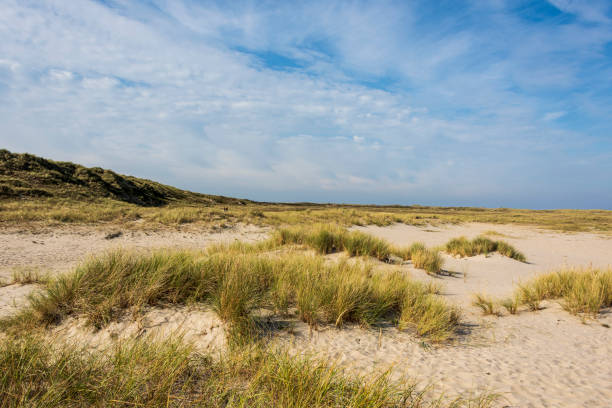 istock Beautiful tranquil dune landscape and long beach at North Sea 1178116783