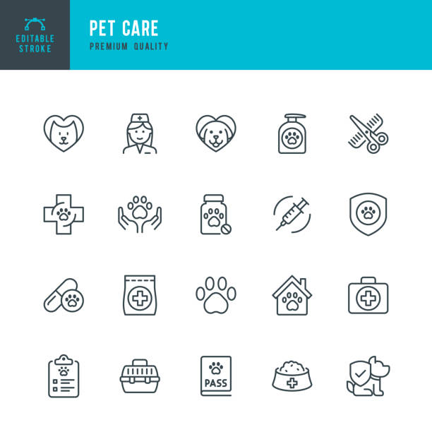 PET CARE - dünne Linie Vektor Icon Set. Bearbeitbarer Strich. Pixelgenau. Set enthält solche Symbole wie Hund, Katze, Haustiere, Tierarzt, Pflege, Tiernahrung, Tiertransporter, Arzt, Pfotenabdruck, Haustieruntersuchung.