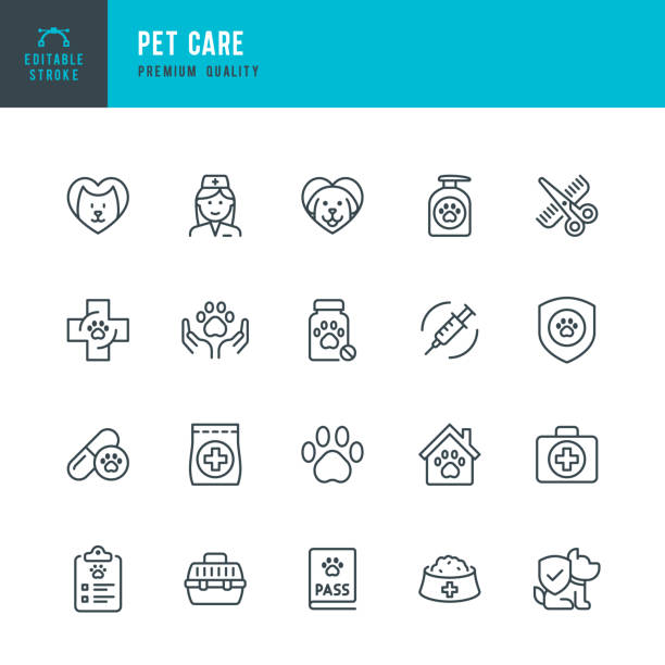 ilustrații de stoc cu pet care - set de pictograme vectoriale cu linie subțire. contur editabil. pixel perfect. setul conține pictograme precum animale de companie, câine, pisică, doctor, medic, medic veterinar, îngrijire, hrană pentru animale de companie. - animal de companie