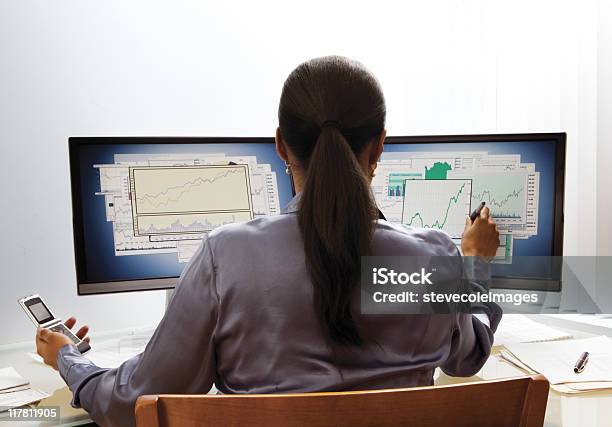 Rear View Of Businesswoman Sitting At Computers Stock Photo - Download Image Now - Adult, Adults Only, African Ethnicity