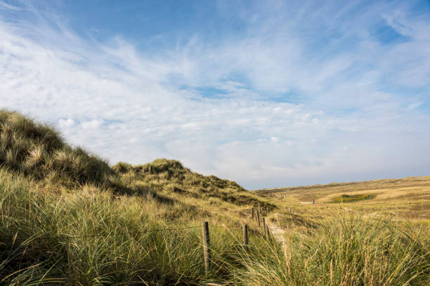 istock Beautiful tranquil dune landscape and long beach at North Sea 1178120135