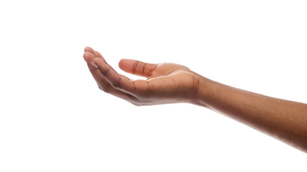 mano femenina manteniendo la palma cuculida vacía aislada sobre fondo blanco - assistance help dependency business fotografías e imágenes de stock