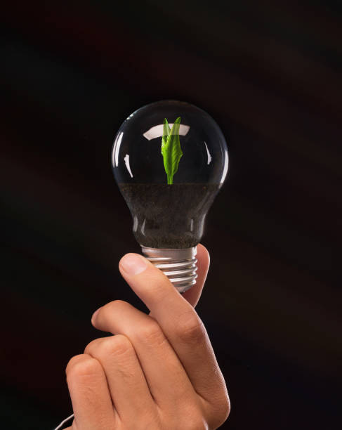 istock Man holding light bulb with growing plant 1178120691