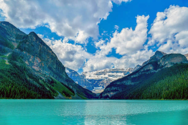 lake louise, fairview mountain, mount victoria and the beehive, banff national park, canada - lake louise national park landscape forest foto e immagini stock