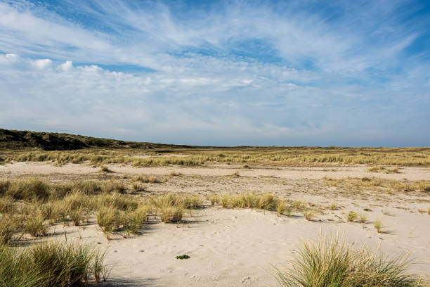 istock Beautiful tranquil dune landscape and long beach at North Sea 1178122655