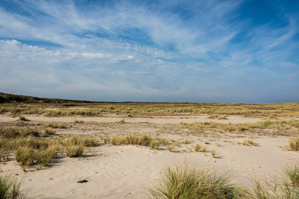 istock Beautiful tranquil dune landscape and long beach at North Sea 1178126319