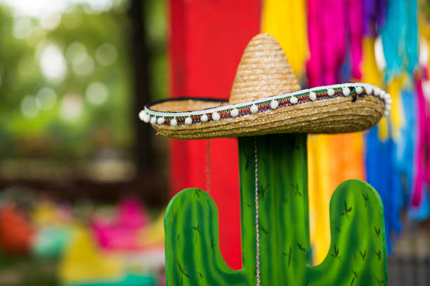 cactus in cappello sombrero su nastri festa sfondo esterno - mexican pots foto e immagini stock