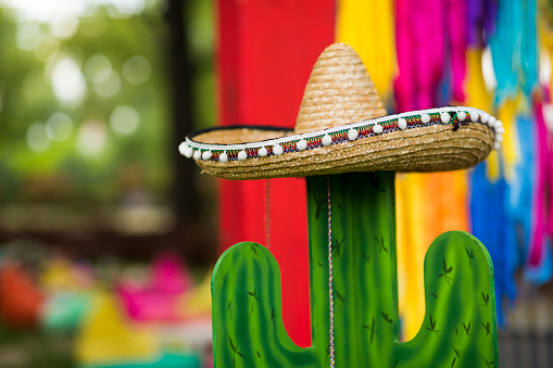 Cool and creative summer concept. Cactus in sombrero hat over party ribbons background outdoor, copy space