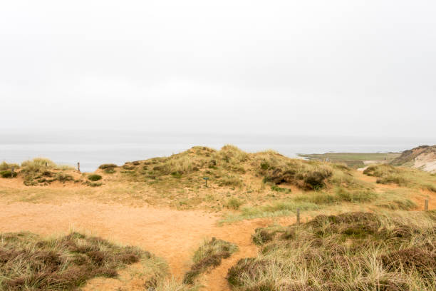 Beautiful tranquil dune landscape and long beach at North Sea