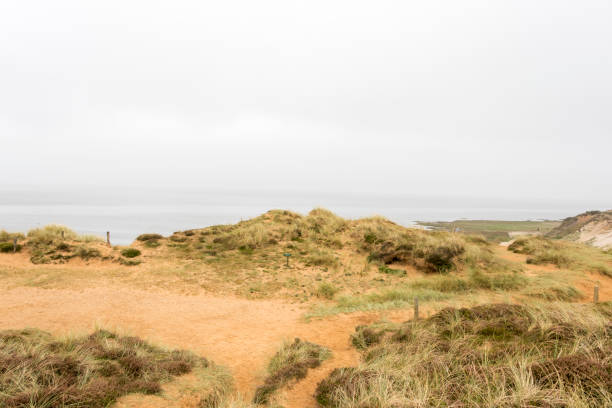 Beautiful tranquil dune landscape and long beach at North Sea