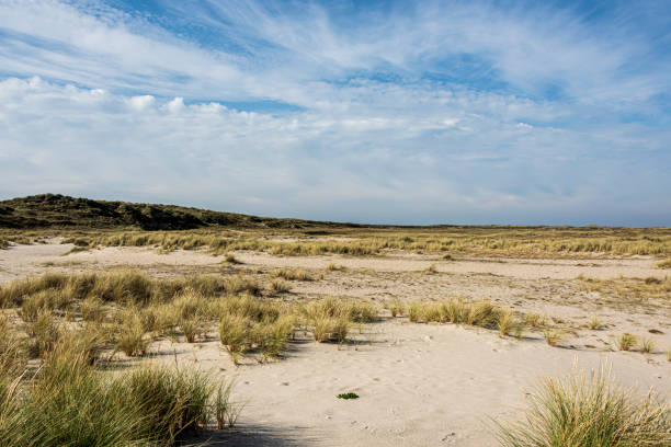istock Beautiful tranquil dune landscape and long beach at North Sea 1178138400