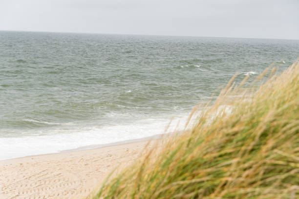 istock Beautiful tranquil dune landscape and long beach at North Sea 1178139399