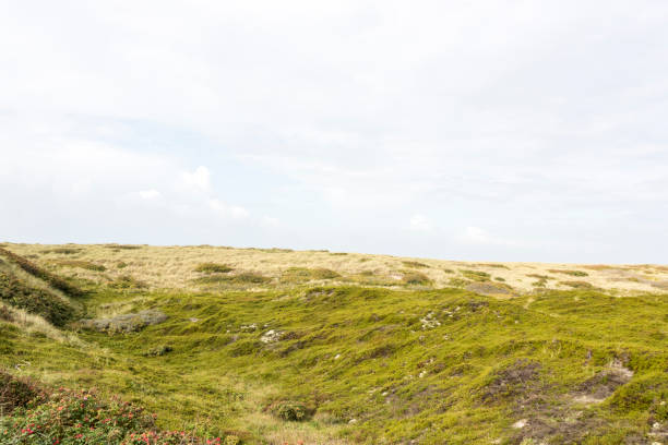 istock Beautiful tranquil dune landscape and long beach at North Sea 1178139401