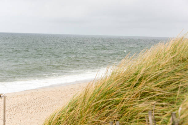 Beautiful tranquil dune landscape and long beach at North Sea