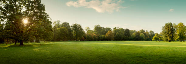 panorama des herbststadtparks bei sonnenaufgang - glade stock-fotos und bilder