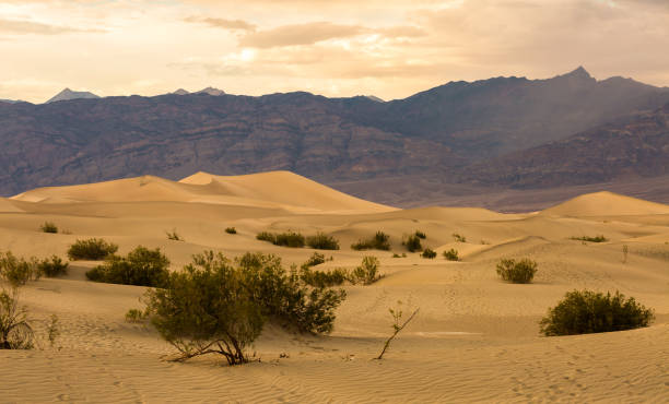 istock Scenic View Of Desert Against Sky 1178149925