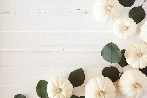 Autumn corner border of white pumpkins and green eucalyptus leaves against a white wood background with copy space