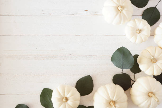 Autumn corner border of white pumpkins and green eucalyptus leaves against a white wood background Autumn corner border of white pumpkins and green eucalyptus leaves against a white wood background with copy space miniature pumpkin stock pictures, royalty-free photos & images