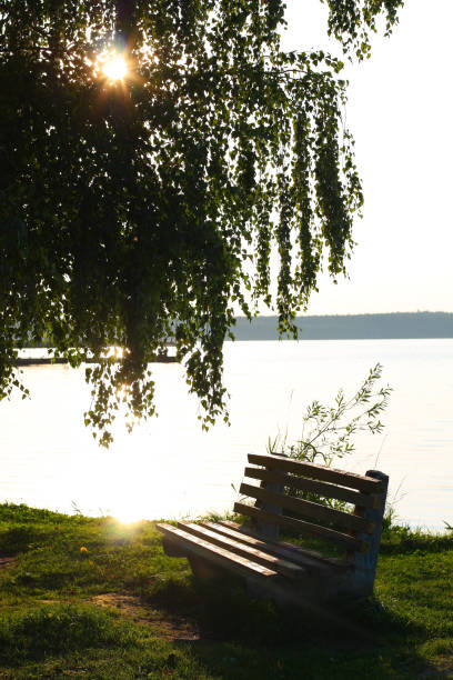 istock Sunset river horizon silhouette branch landscape. River sunset horizon. 1178154328