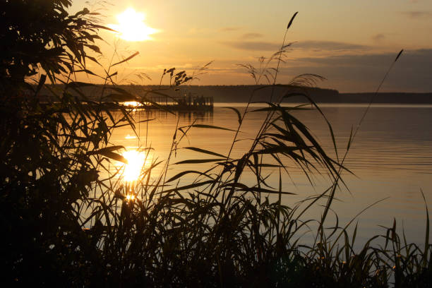 istock Sunset river horizon silhouette branch landscape. River sunset horizon. 1178154500