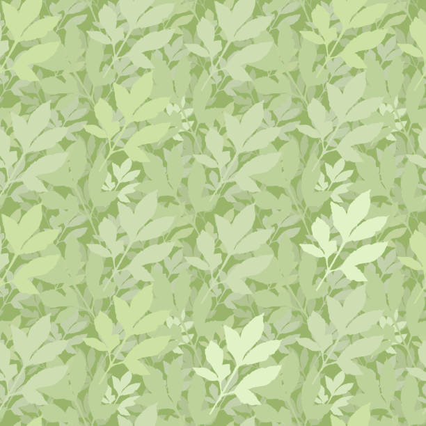 istock Many different sizes Hand drawn abstract silhouettes of green leaves. 1178157546
