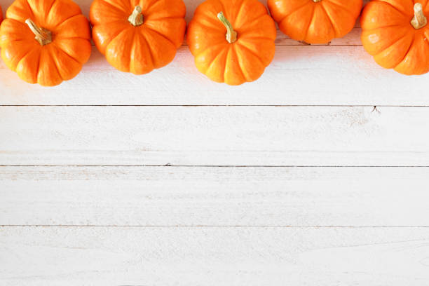 istock Autumn pumpkin top border over a white wood background 1178158702