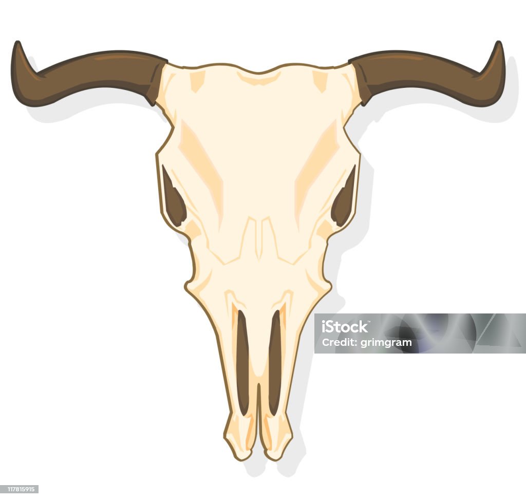 Crâne d'Animal - clipart vectoriel de Bovin domestique libre de droits