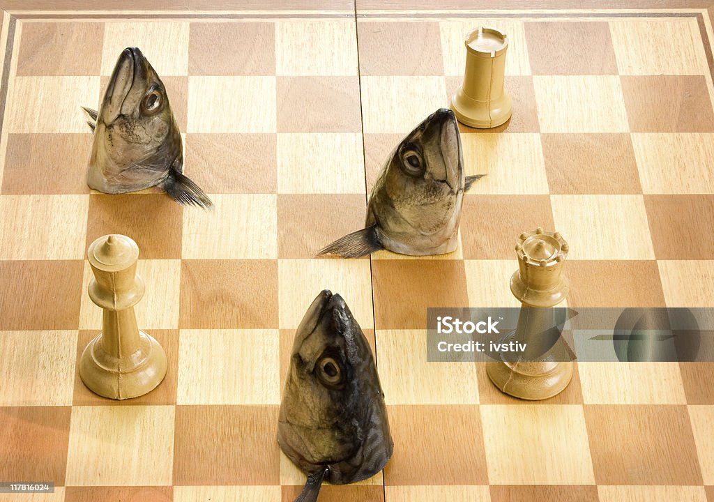 Poisson Jeu d'échecs - Photo de Animal mort libre de droits