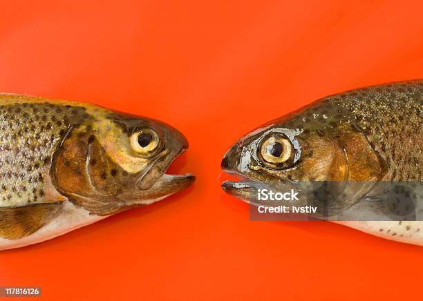 Hablando De Pescado Foto de stock y más banco de imágenes de Hablar - Hablar, Pez, Aire libre