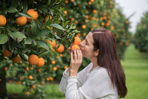 Happy mature women in orange orchard