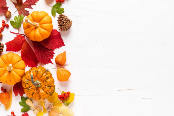 istock Festive autumn pumpkins decor with fall leaves, berries, nuts on white background. Thanksgiving day or halloween holiday, harvest concept. Top view flat lay composition with copy space for greeting 1178164576