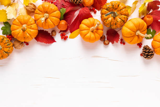 Festive autumn pumpkins decor with fall leaves, berries, nuts on white background. Thanksgiving day or halloween holiday, harvest concept. Top view flat lay composition with copy space for greeting decoración de calabazas de otoño festivo con hojas de otoño, bayas, frutos secos sobre fondo blanco. día de acción de gracias o vacaciones de halloween, concepto de cosecha. vista superior plana composición con espacio de copia para el saludo