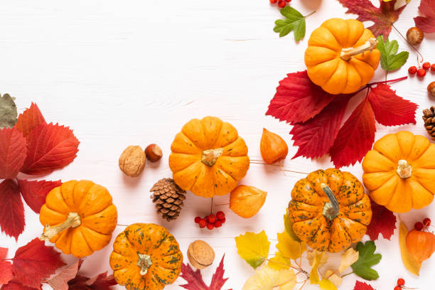 istock Festive autumn pumpkins decor with fall leaves, berries, nuts on white background. Thanksgiving day or halloween holiday, harvest concept. Top view flat lay composition with copy space for greeting 1178166510