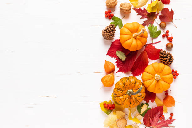 istock Festive autumn pumpkins decor with fall leaves, berries, nuts on white background. Thanksgiving day or halloween holiday, harvest concept. Top view flat lay composition with copy space for greeting 1178167068