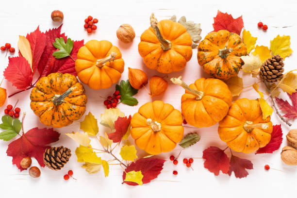 istock Festive autumn pumpkins decor with fall leaves, berries, nuts on white background. Thanksgiving day or halloween holiday, harvest concept. Top view flat lay composition with copy space for greeting 1178167097