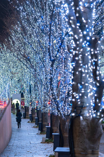 festival da iluminação do inverno dos montes de roppongi (iluminações da galáxia de keyakizaka) - roppongi hills - fotografias e filmes do acervo